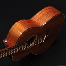 Takamine PTU431K N_4