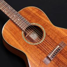 Takamine PTU431K N_6