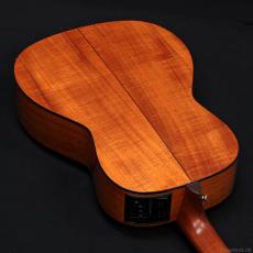 Takamine PTU431K N_9
