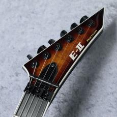 E-II HORIZON FR-II (Tyger Eye Sunburst)【分割48回払い無金利対象商品】_5