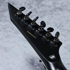 E-II HORIZON FR-II (Tyger Eye Sunburst)【分割48回払い無金利対象商品】_6
