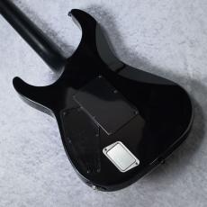 E-II HORIZON FR-II (Tyger Eye Sunburst)【分割48回払い無金利対象商品】_8