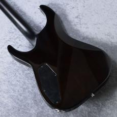 E-II HORIZON NT FM -Dark Brown Sunburst-【分割48回払い無金利対象商品】_6