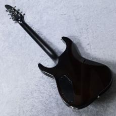E-II HORIZON NT FM -Dark Brown Sunburst-【分割48回払い無金利対象商品】_9