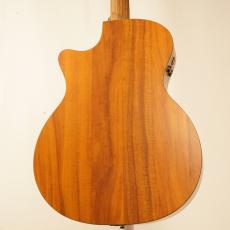 Martin 【サウンドメッセ出展品】 GPCPA5K 2012年製_5