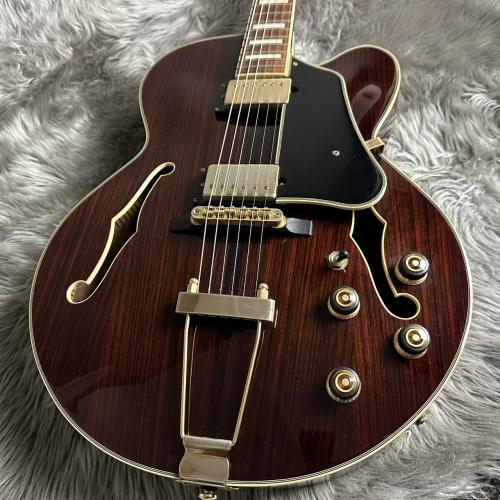 Ibanez AF95RW【現物画像】【最大36回分割無金利 実施中】