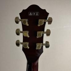Ibanez AF95RW【現物画像】【最大36回分割無金利 実施中】_7