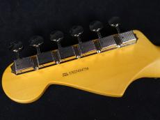 Fender American Professional Classic Stratocaster Faded Black_9
