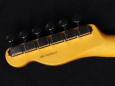 Fender American Professional Classic Telecaster Faded Lake Placid Blue_9