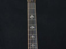 Taylor 912ce_5