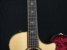 Taylor 912ce_6
