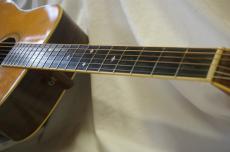 BlueBell W-800_4