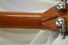 BlueBell W-800_9