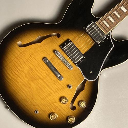 HISTORY HSA-Standard Tobacco Sunburst エレキギター セミアコ カーリーメイプル材 【現物画像】