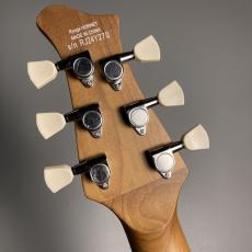RYOGA HORNET Pelham Blue エレキギター ハムバッカー ベイクドメイプルネックホーネット 【現物画像】_7