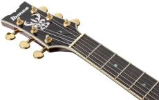 Ibanez AMH90QM_4