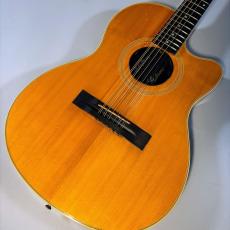 Gibson ChetAtkins sst 12【現物写真】
