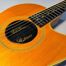 Gibson ChetAtkins sst 12【現物写真】_3
