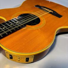 Gibson ChetAtkins sst 12【現物写真】_5