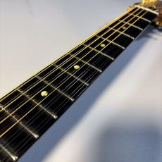 Gibson ChetAtkins sst 12【現物写真】_6