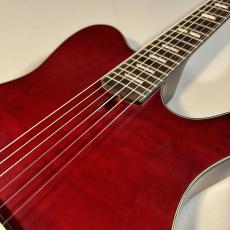 Ibanez FRH20QMN エレガットギター_3