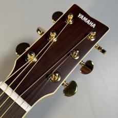 YAMAHA LS6 ARE BS【現物写真】_7
