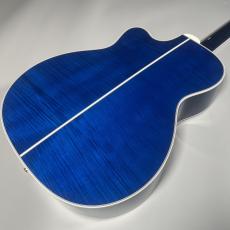 Takamine PTU70CS エレアコ 【現物写真】_7