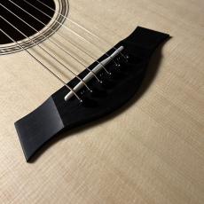 Taylor LTD EG Academy 12e_4