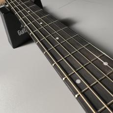 Taylor LTD EG Academy 12e_5
