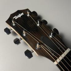 Taylor LTD EG Academy 12e_6