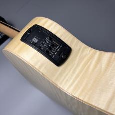 Taylor LTD EG Academy 12e_7