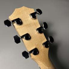 Taylor LTD EG Academy 12e_10