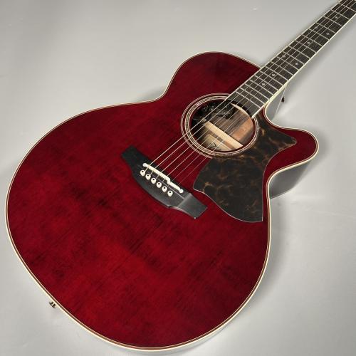 Takamine DMP50S WR エレアコギター セミハードケース付属 【島村楽器 x Takamine コラボモデル】