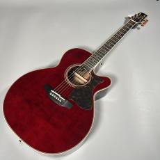 Takamine DMP50S WR エレアコギター セミハードケース付属 【島村楽器 x Takamine コラボモデル】_2