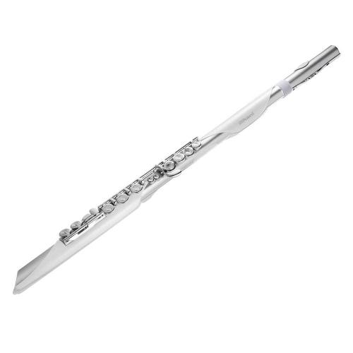 Roland 【新規入荷】Aerophone Brisa エアロフォン ブリサ ウインドシンセAE-Brisa
