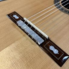 Llora del alma Guitar Torres1887/ローズ【現物写真】【ケース付き】_4