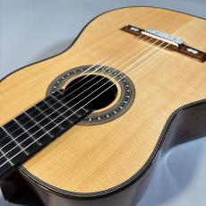 Llora del alma Guitar Torres1887/ローズ【現物写真】【ケース付き】_5