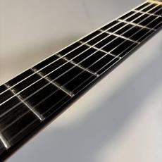 Llora del alma Guitar Torres1887/ローズ【現物写真】【ケース付き】_6