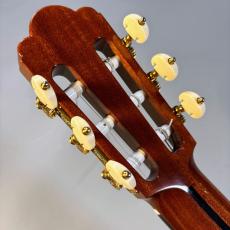ASTURIAS ルネサンスS 650mm【現物写真】_11
