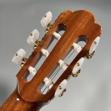 ASTURIAS TSUJI S-1/S/SM 640【現物画像】【ケース付属】_10