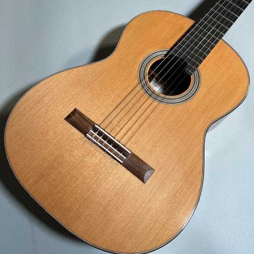 ASTURIAS DOUBLE TOP/C/J/Selec【現物画像】【傷有特価】