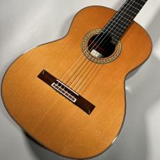 桜井 河野 Professional-SR/C/630【現物画像】【専用セミハードケース付属】