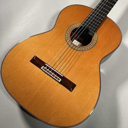 桜井 河野 Professional-SR/C/630【現物画像】【専用セミハードケース付属】