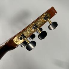 桜井 河野 Professional-SR/C/630【現物画像】【専用セミハードケース付属】_7