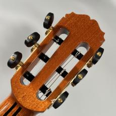 桜井 河野 Professional-SR/C/630【現物画像】【専用セミハードケース付属】_10