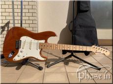 WARMOTH ST Model Walnut 1P Body / Maple 【PriceDown】_8