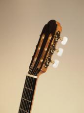 ARIA A100S-61_4