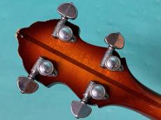 VEGA PETE SEEGER_6