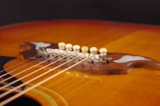 Gibson DOVE_6
