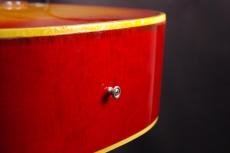 Gibson DOVE_7
